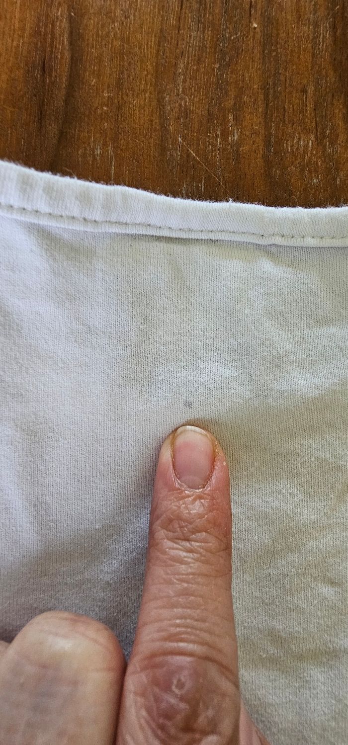 Tee shirt anches longues fille 36mois - photo numéro 5