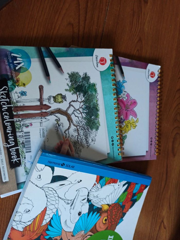 Coloriages 3 livres - photo numéro 3