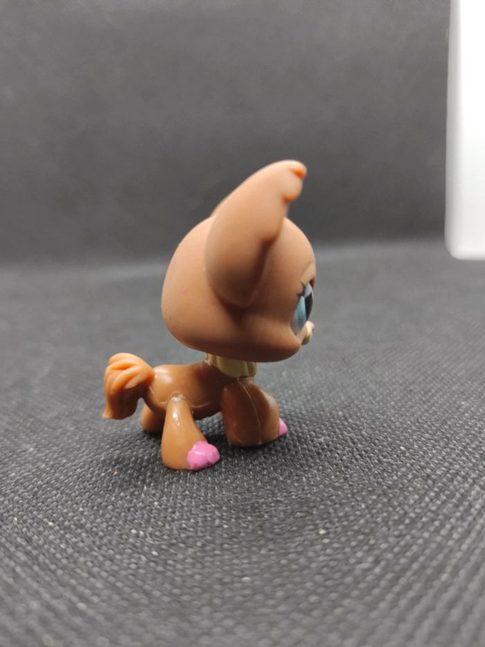 Littlest Petshop LPS dog chien papillon 1623 chihuahua hasbro #geektradelpschien - photo numéro 3