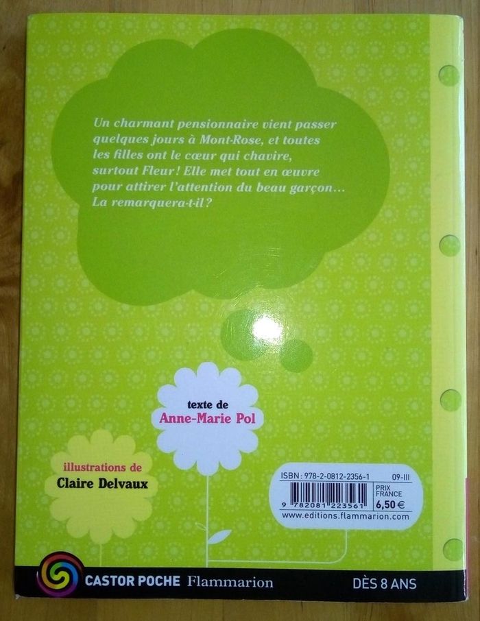 2 livres enfant Les 3 copines - photo numéro 6