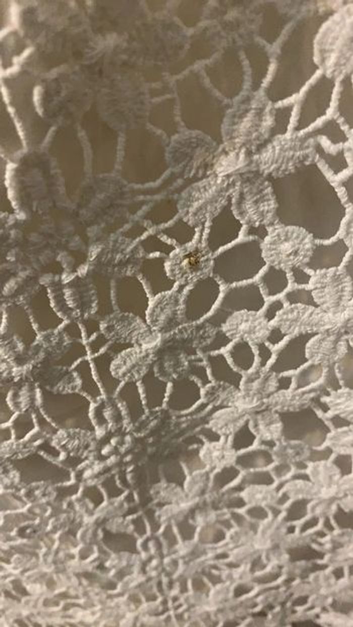 Très jolie robe (taille 3 ans) - photo numéro 7