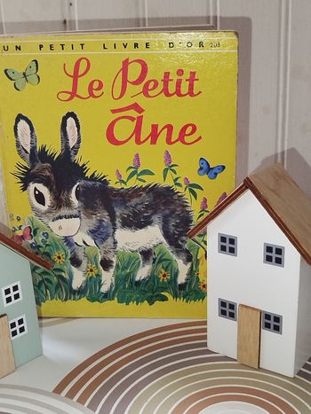 📚 Vintage Éditions des Deux coqs d'or Le petit Âne