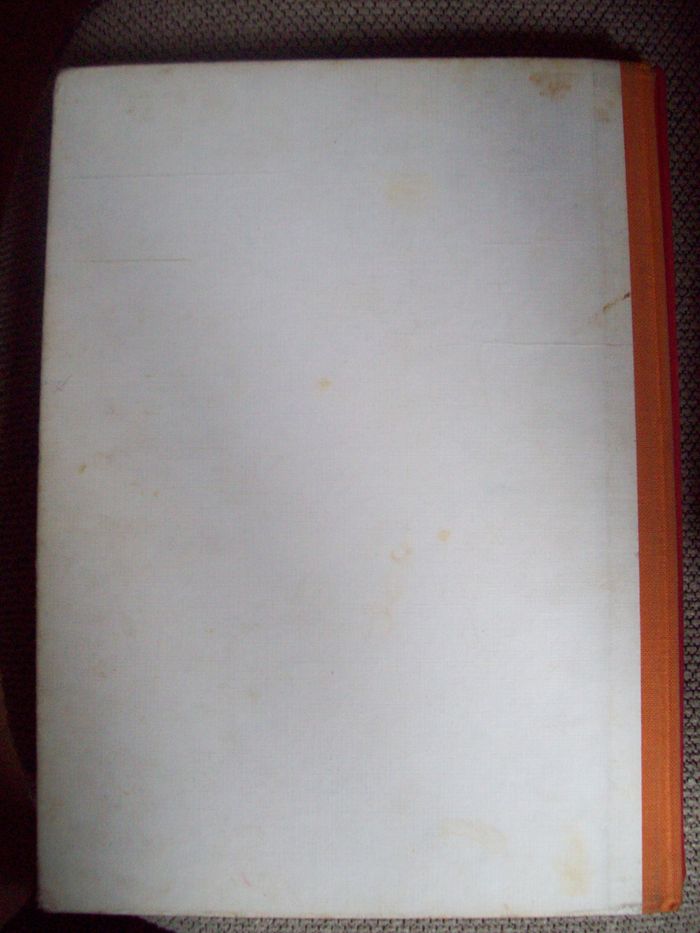 becassine alpiniste - photo numéro 2