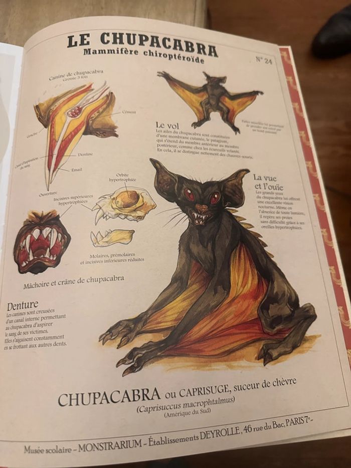 Deyrolle Les Histoires vraies des Créatures Fantastiques Plume de Carotte - photo numéro 10