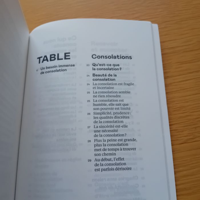 Consolations - photo numéro 6