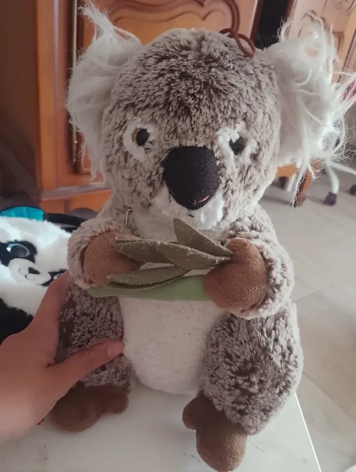 Peluche koala