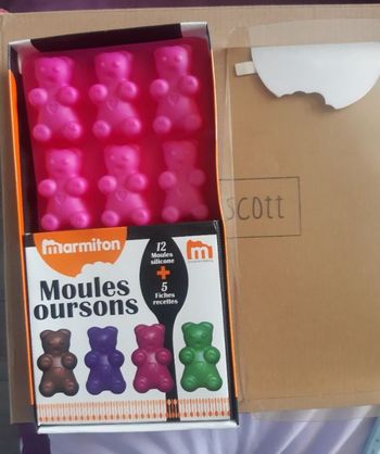 Coffret moule en silicone