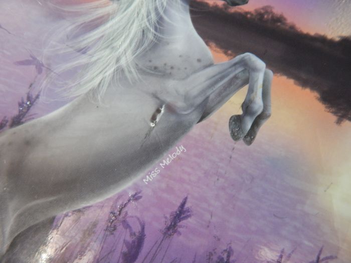 petite boite - photo numéro 5