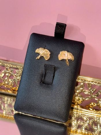 BO feuilles de Ginkgo