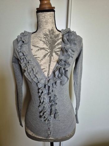 Gilet gris