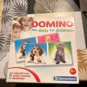 Jeu de domino