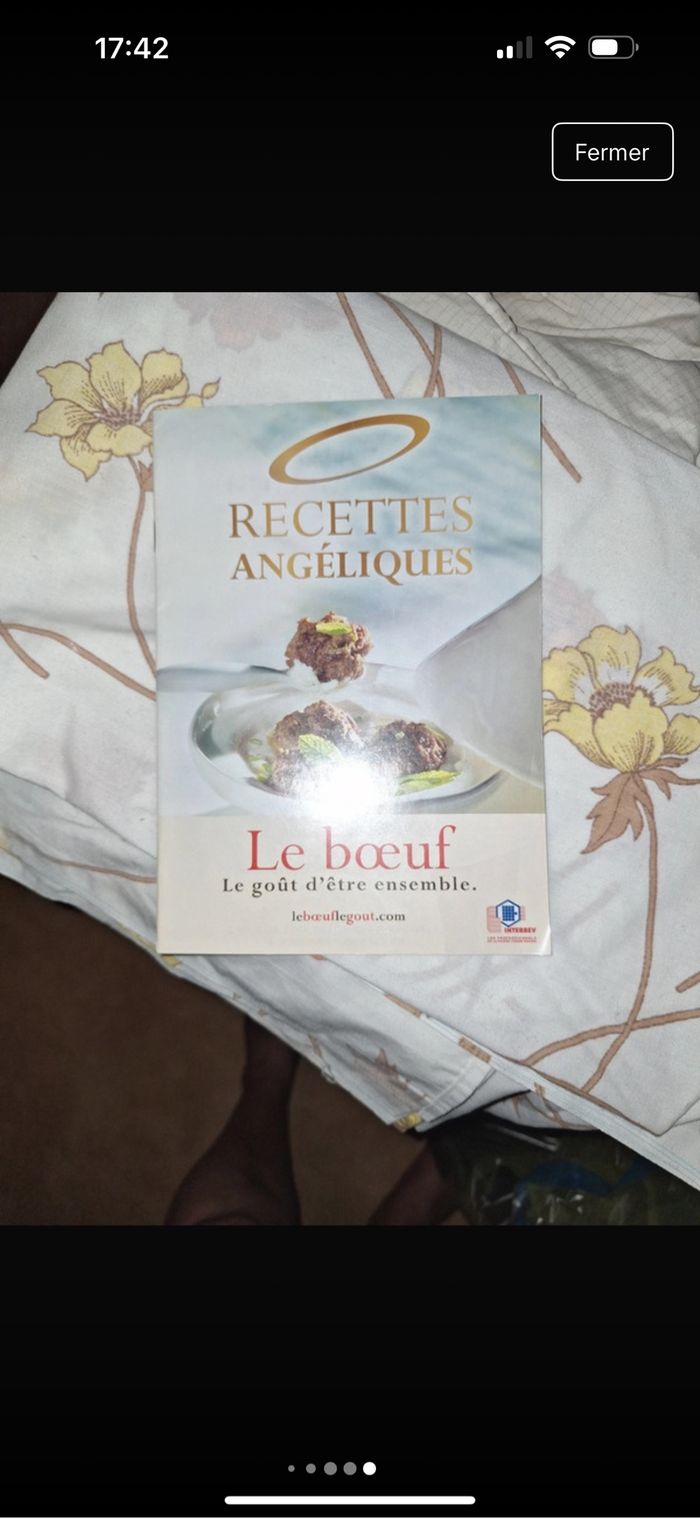 Livre de cuisine. - photo numéro 9