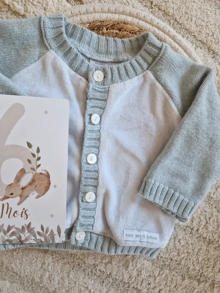 Gilet bébé Petit Bateau - photo numéro 2