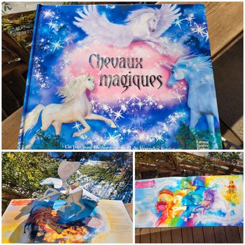 Livre animé pop-up 🐎 Chevaux Magiques 🦄 quatre fleuves
