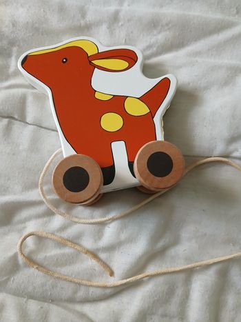 Jouet à tirer en bois