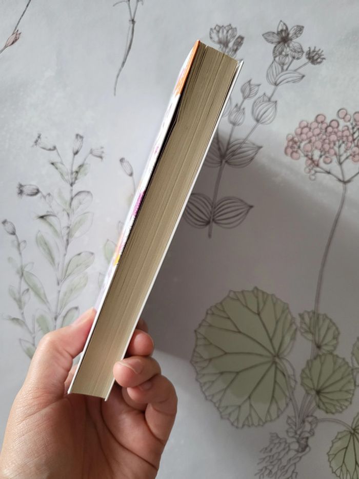 Coeurs et âmes de Colleen Hoover - photo numéro 4