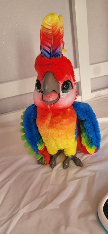 Peluche interactive Mon perroquet Show Coco - Furreal Friends
