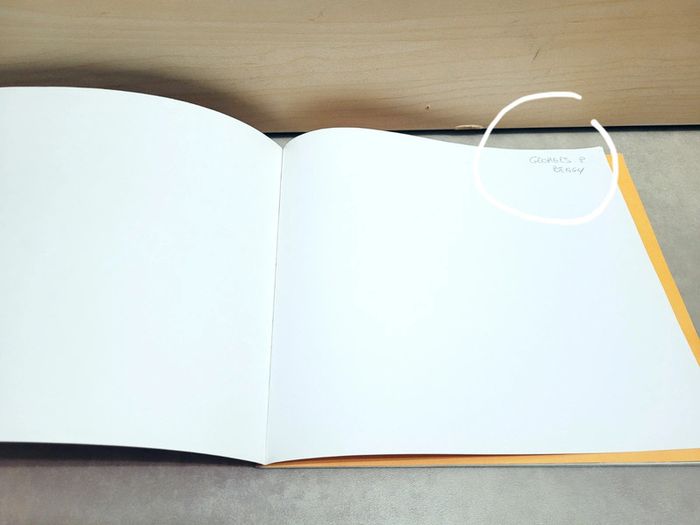 🌺 Livre (école des loisirs) : Grand - photo numéro 9