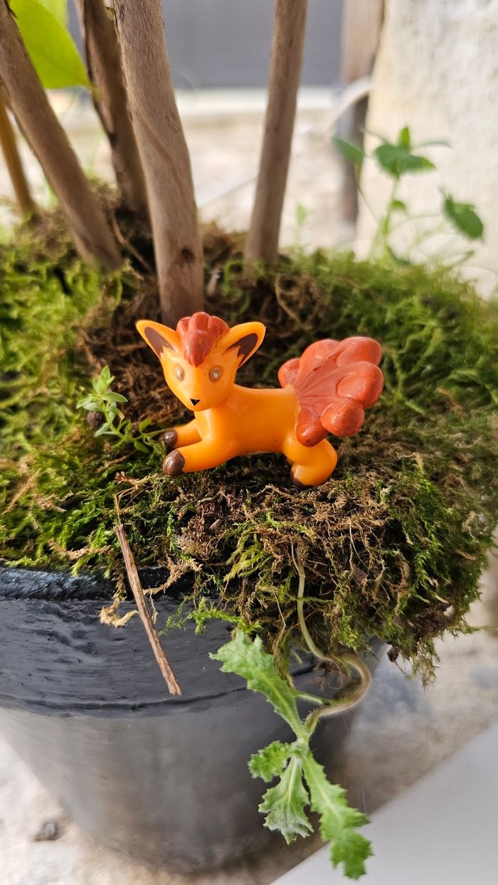 Super figurine Pokemon Nintendo Goupix