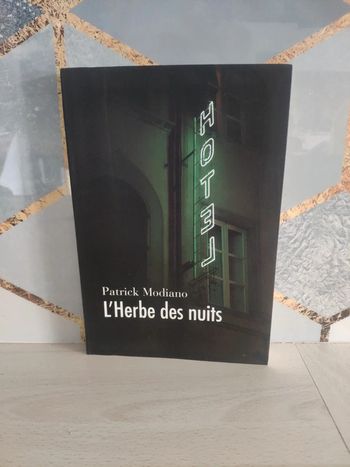 Livre grand format l'herbe des nuits Modiano