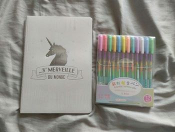 Carnet et stylos multicolores