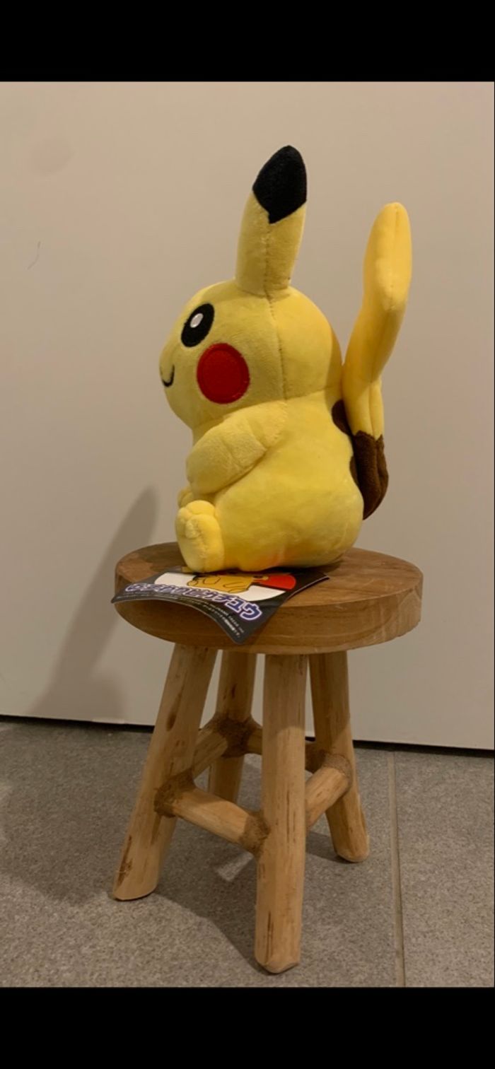 Pokemon pikachu - photo numéro 2