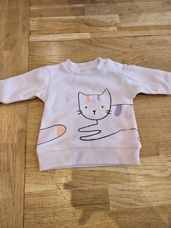 Pull 1 mois