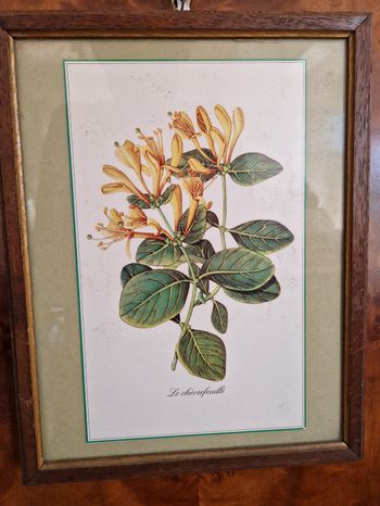 Sous-verre avec joli cadre bois 25 cm x 31 cm.