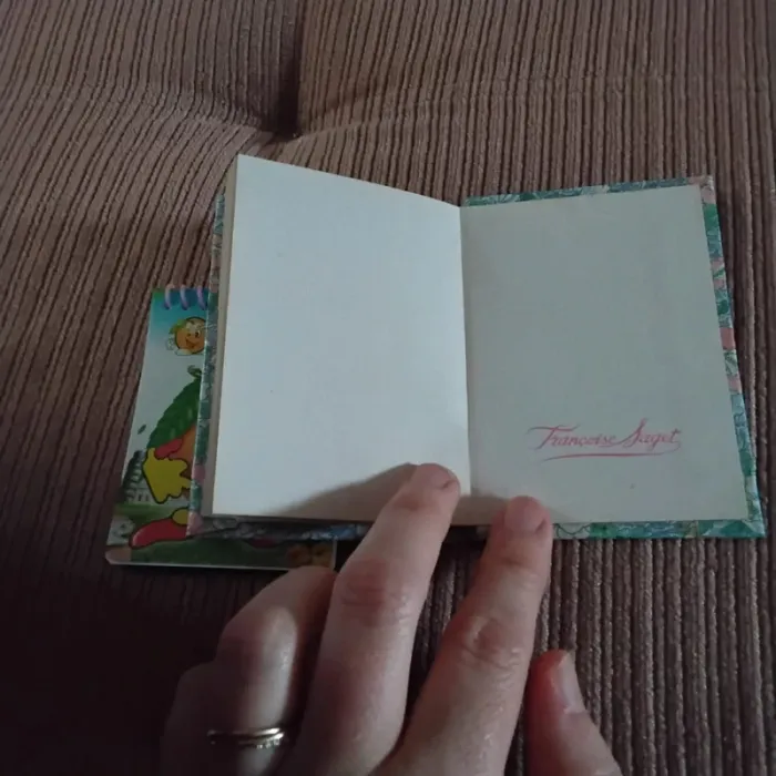 Petits carnets - photo numéro 8