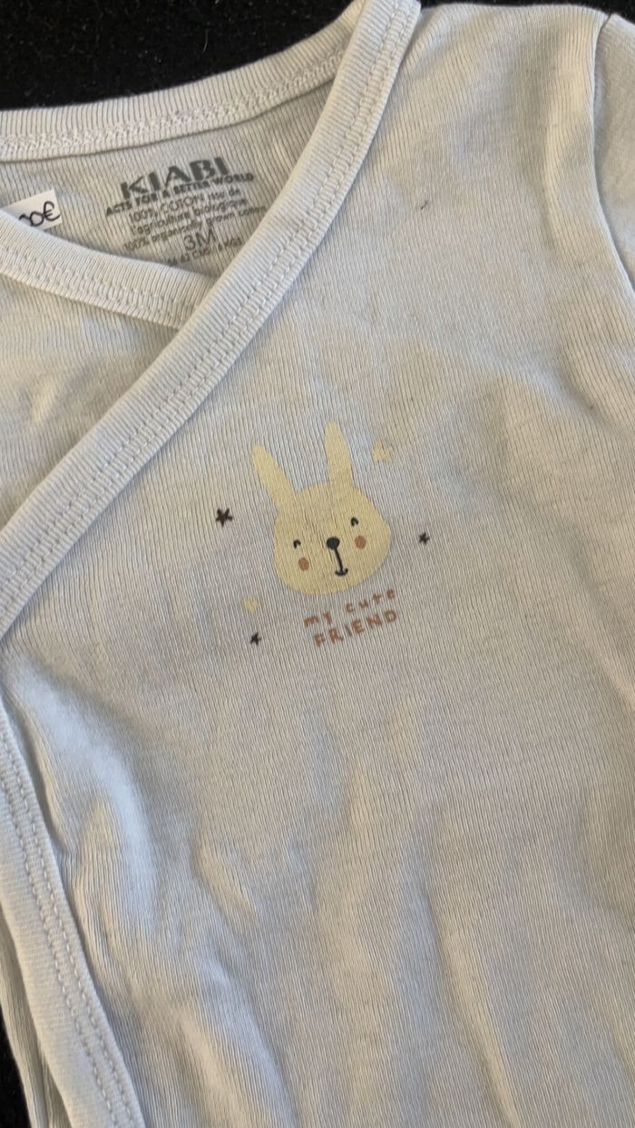 Bodie 3 mois - photo numéro 3