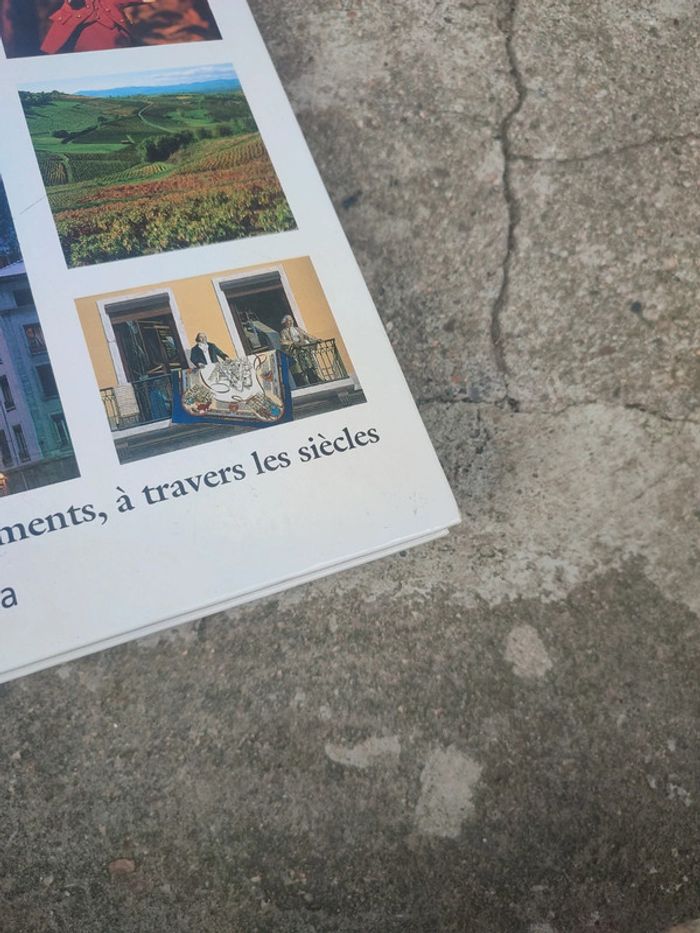 Livre beauté de Lyon et du beaujolais - photo numéro 4