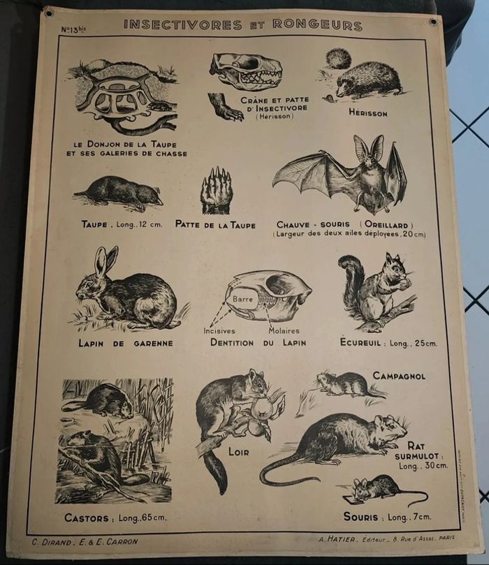 Affiche scolaire vintage n°13/13 bis dirand carron