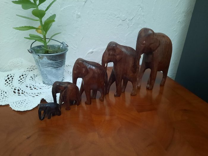 Lot éléphant africain