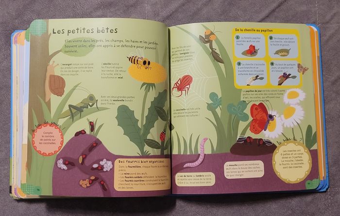 Ma petite encyclopédie 3-6 ans - Avec 7 grandes images à déplier Cécile Jugla, Virginie Guérin - photo numéro 5