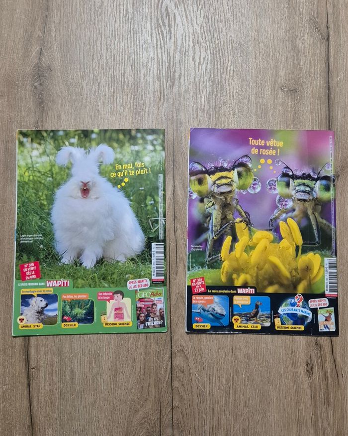 Lot magazines Wapiti - photo numéro 4