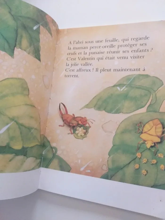 Ma grande encyclopédie 5-8 ans - photo numéro 13