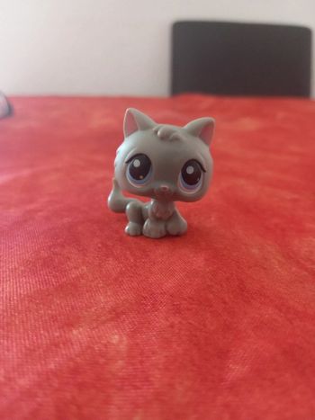 Littlest lps  pet shop chaton 177