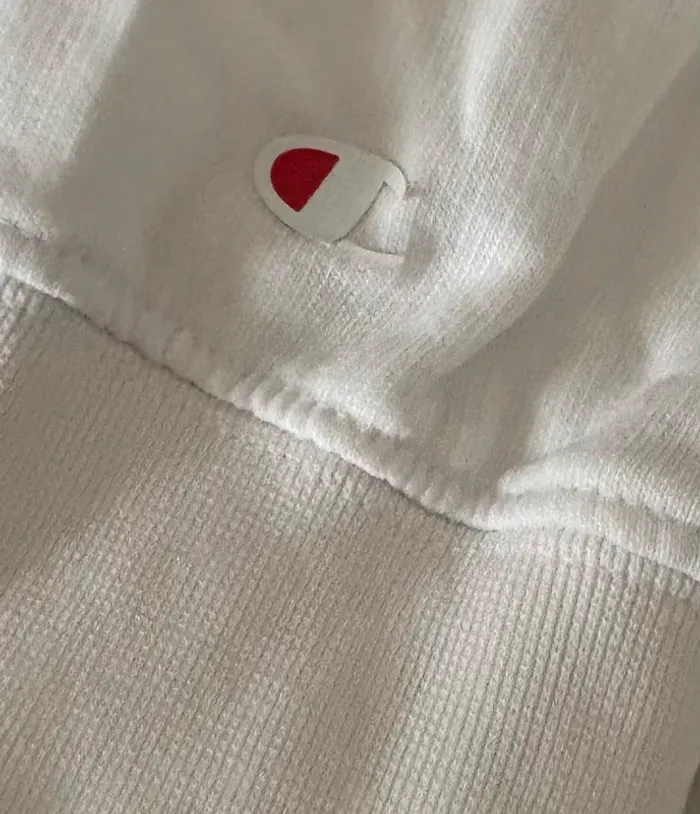 Pull champion - photo numéro 4