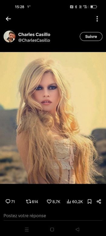 Cadre Brigitte bardot