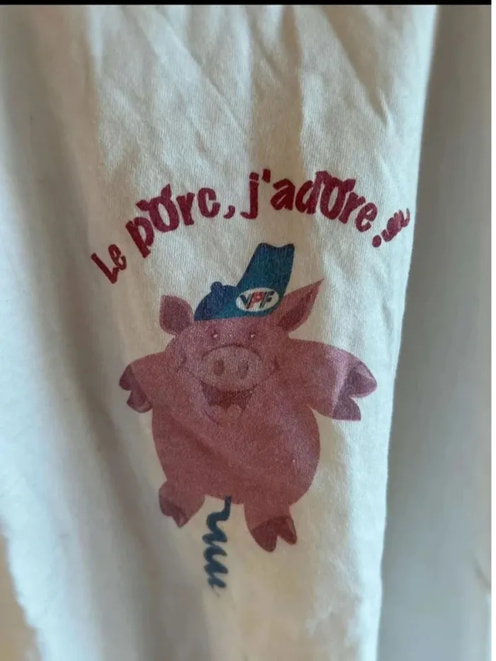Tee  shirt comiques Le  porc j’adore  taille  10 ans  en  très  bon état - photo numéro 2