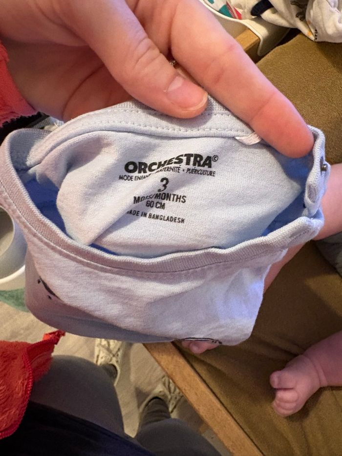 Pull zèbre - photo numéro 3