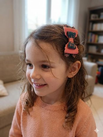 Pince cheveux créatrice 