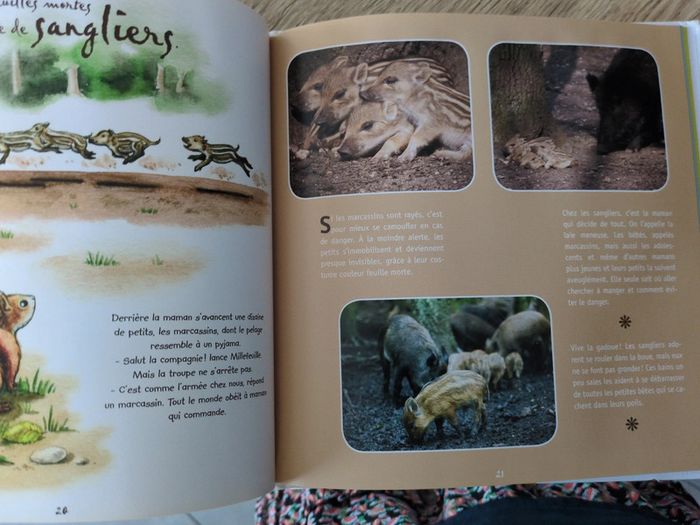 Superbe livre sur les animaux - photo numéro 4