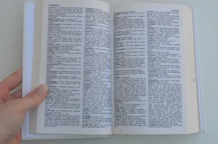 Dictionnaire - photo numéro 3