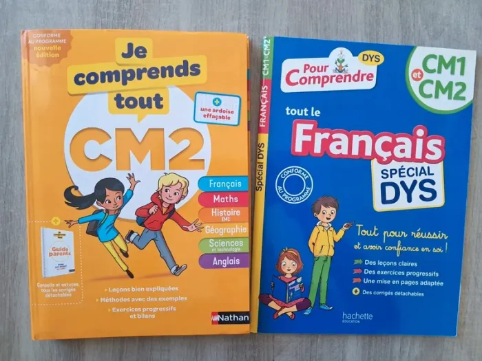 Livre d'apprentissage je comprends tout niveau CM2