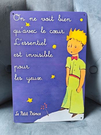 Plaque métal le petit prince citation antoine de saint exupery neuve 20x30cm