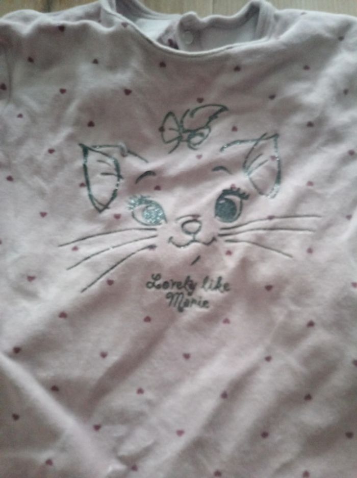 Grenouillère disney - photo numéro 2