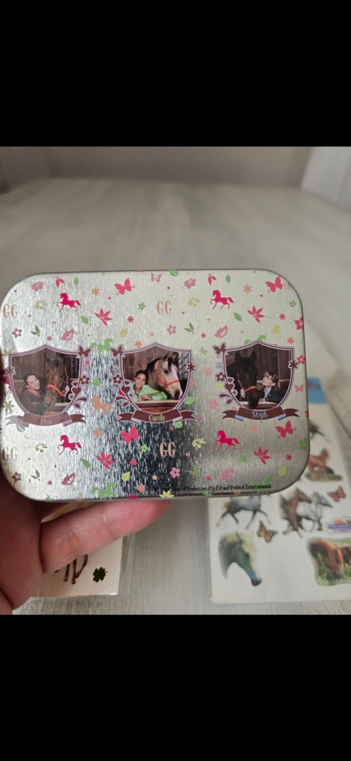 Boîte-figurine et stickers chevaux - photo numéro 8