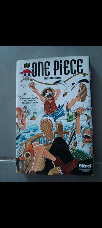 Livre Manga One Piece