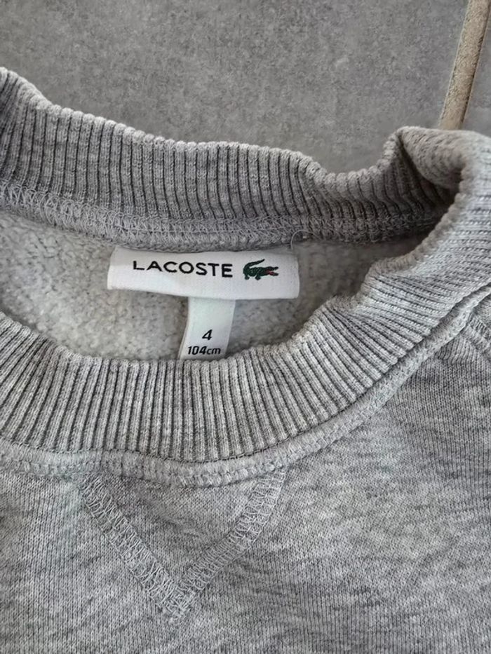 Sweat gris Lacoste - photo numéro 3